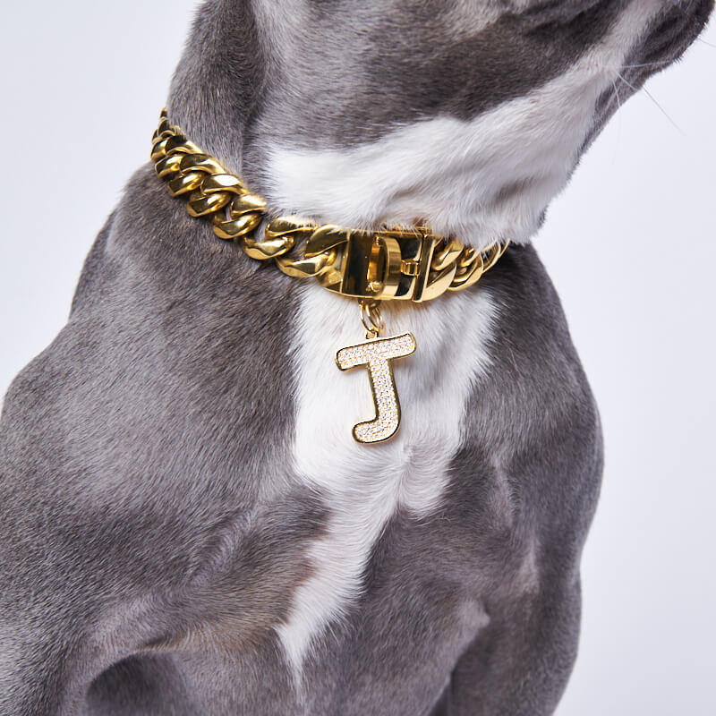 Lettre initiale bijoux plaques d'identification pour chiens - J