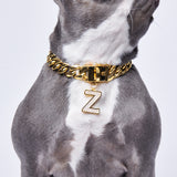 Lettre initiale bijoux plaques d'identification pour chiens - Z