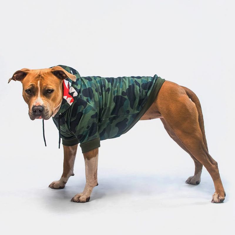 Monstre Requin Pull à Capuche Pour Chien