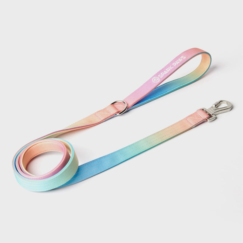 Ensemble de colliers tactiques pour chien - Glaçage pastel (1.5"/4cm)