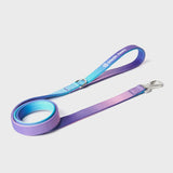Ensemble de colliers tactiques pour chien - Rétro des années 90 (1.5"/4cm)