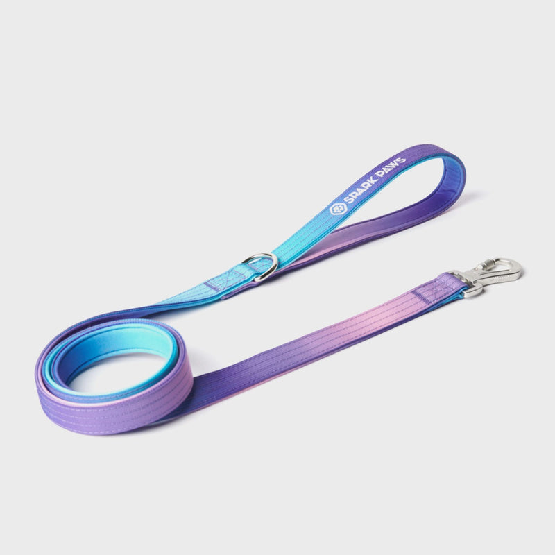 Ensemble de colliers tactiques pour chien - Rétro des années 90 (1.5"/4cm)