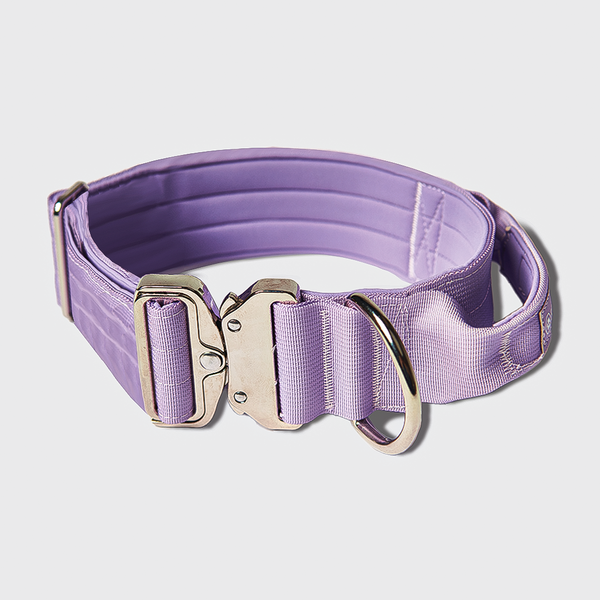 Ensemble de colliers tactiques pour chien - Lilas