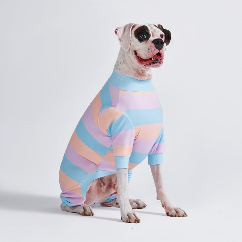 Pyjama pour chien - Barbe à papa