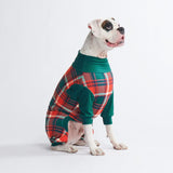 Pyjama pour chien - Plaid vert et rouge