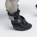 Chaussure pour chien réfléchissante et résistante à l'eau
