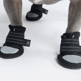 Chaussure pour chien réfléchissante et résistante à l'eau