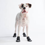 Chaussure pour chien réfléchissante et résistante à l'eau