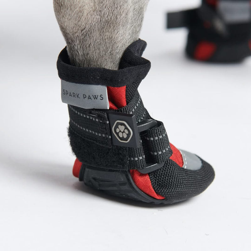 Chaussure pour chien réfléchissante et résistante à l'eau - Rouge