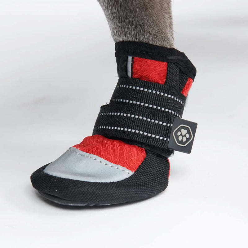 Chaussure pour chien réfléchissante et résistante à l'eau