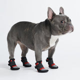 Chaussure pour chien réfléchissante et résistante à l'eau - Rouge