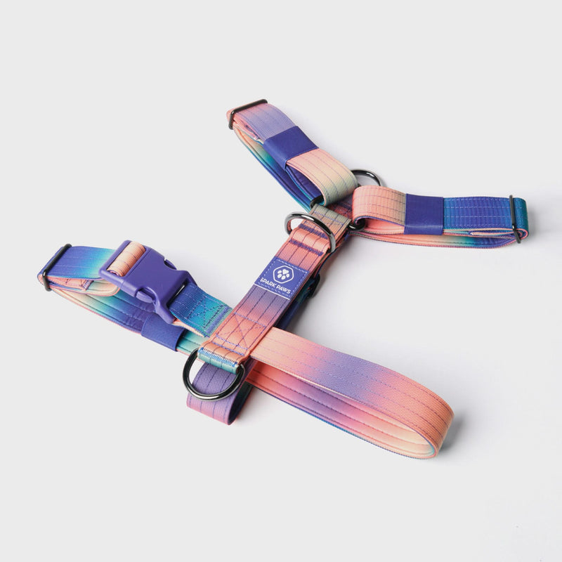 Harnais de contrôle de confort sans traction (Multi-couleur)