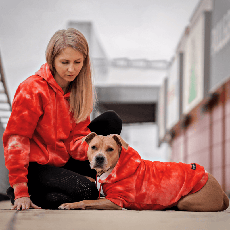 Pull à Capuche en velours Pour Chien - Rouge Rubis