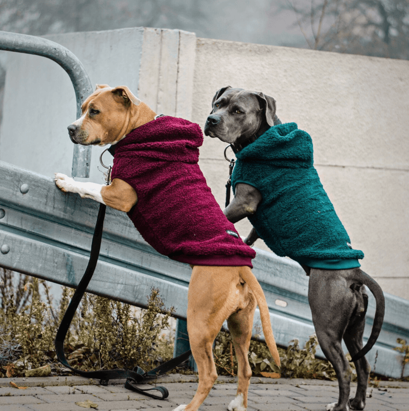 Veste Sherpa Teddy - Bordeaux