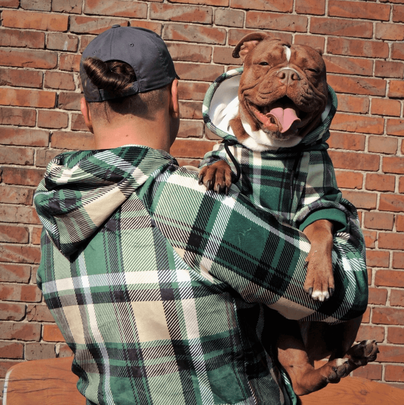 Pull à Capuche en velours - Carreaux Vert