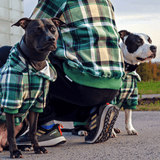 Pull à Capuche en velours - Carreaux Vert