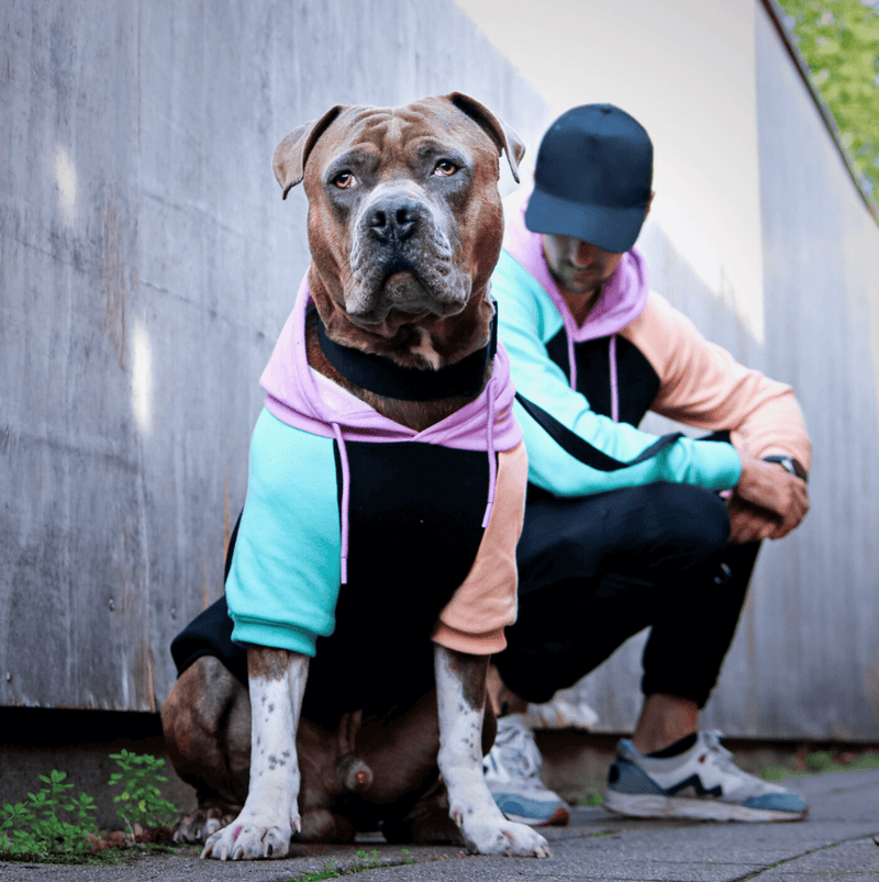 Pull à Capuche Pour Chien - Cyberpunk