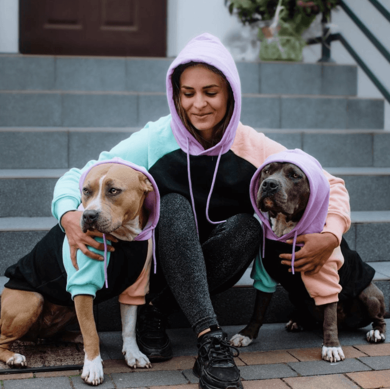 Pull à Capuche Pour Chien - Cyberpunk