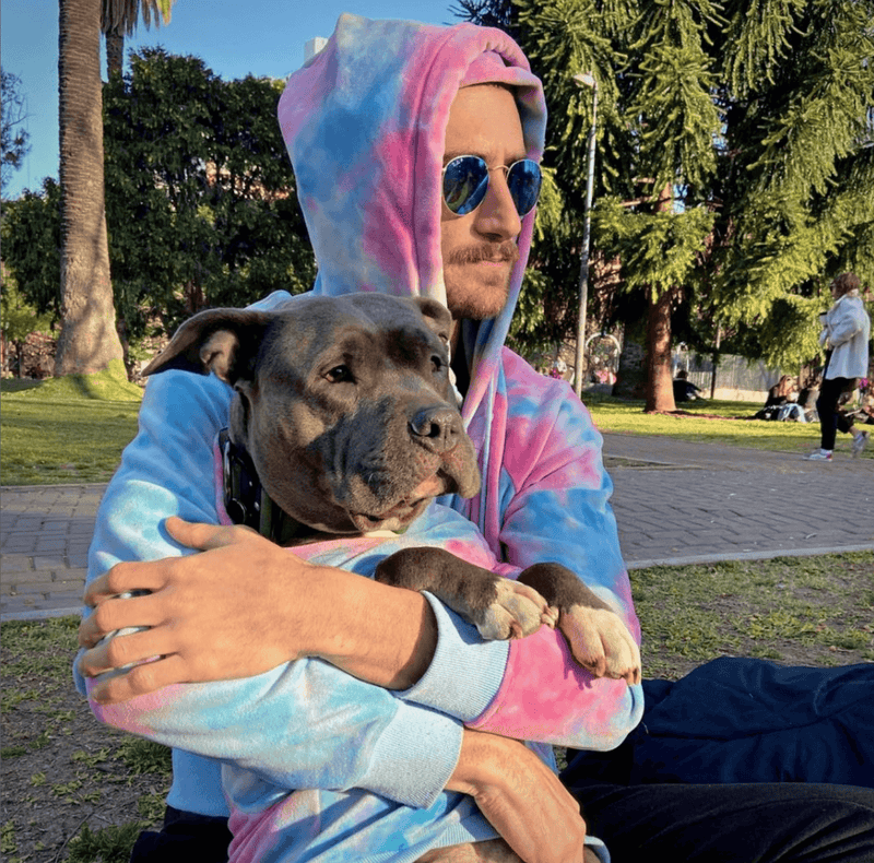 Pull à Capuche en velours Pour Chien - Rose et Bleu