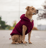 Veste Sherpa Teddy - Bordeaux