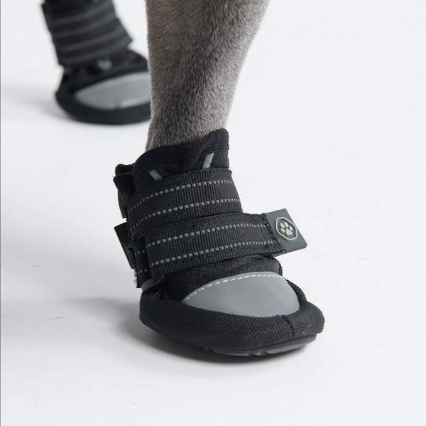 Chaussure pour chien réfléchissante et résistante à l'eau