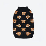 Pull pour chien en tricot - Ours en peluche cassé