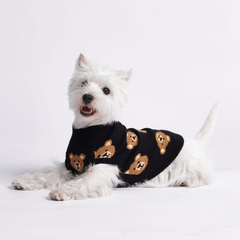 Pull pour chien en tricot - Ours en peluche cassé