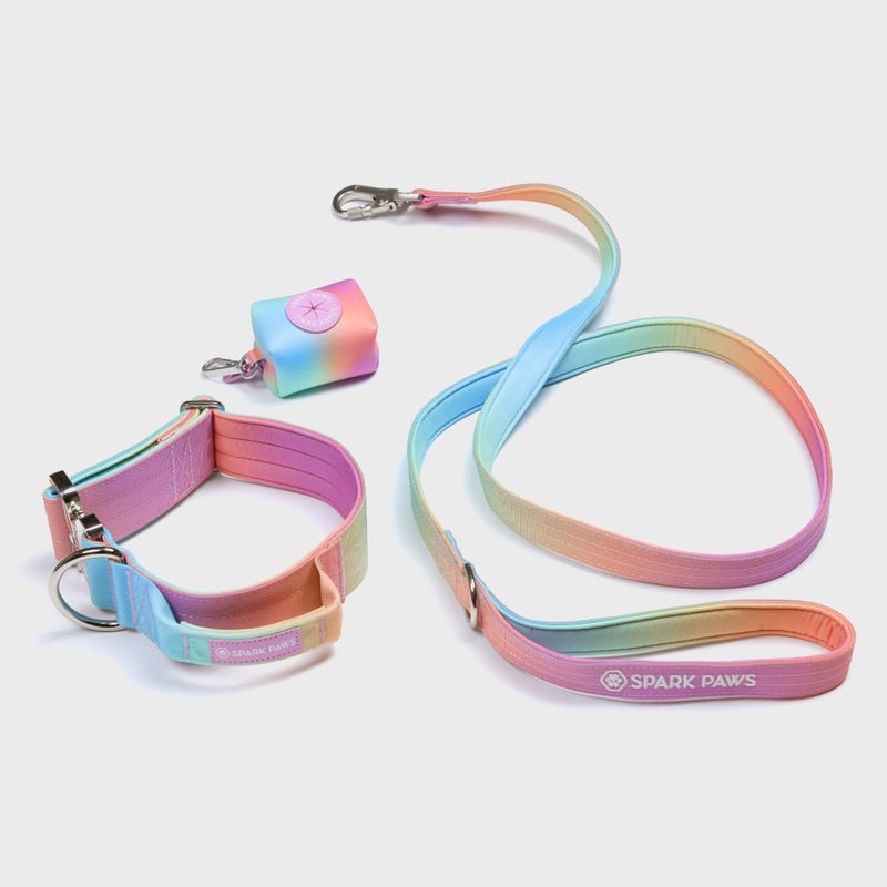 Ensemble de colliers tactiques pour chien - Glaçage pastel