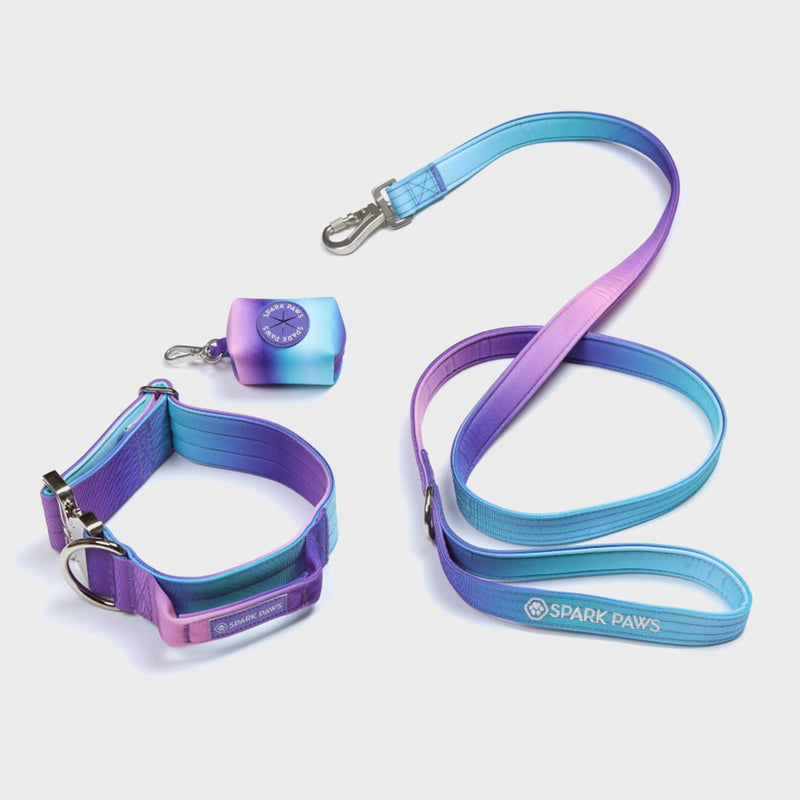 Ensemble de colliers tactiques pour chien - Rétro des années 90 (1.5"/4cm)