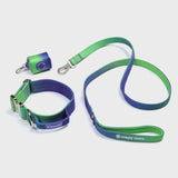 Ensemble de colliers tactiques pour chien - Vague de citron vert (1.5"/4cm)
