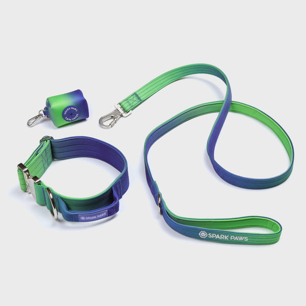 Ensemble de colliers tactiques pour chien - Vague de citron vert