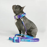Ensemble de colliers tactiques pour chien - Multi-couleur (1.5"/4cm)