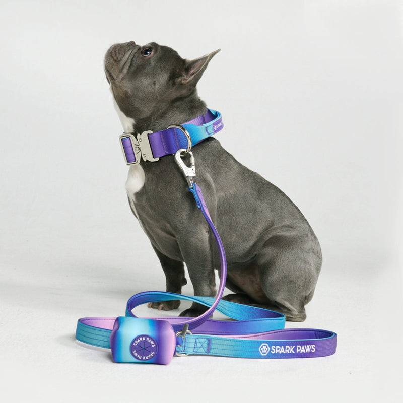 Ensemble de colliers tactiques pour chien - Multi-couleur (1.5"/4cm)