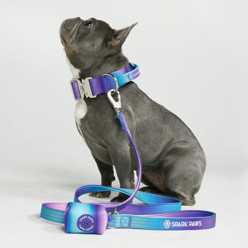 Ensemble de colliers tactiques pour chien - Rétro des années 90 (1.5"/4cm)