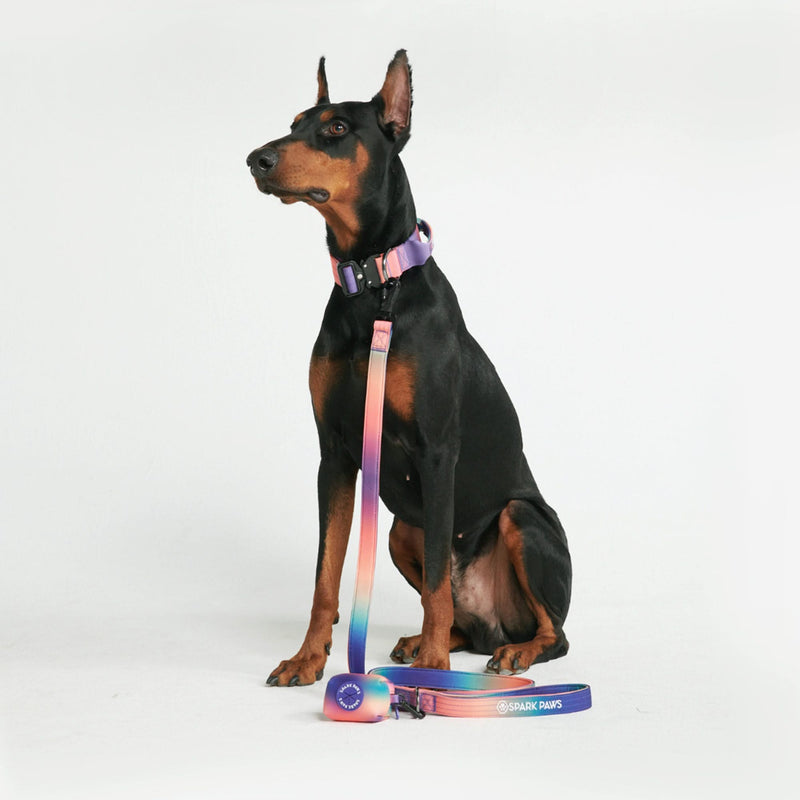 Ensemble de colliers tactiques pour chien - Kaléidoscope (1.5"/4cm)