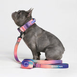 Ensemble de colliers tactiques pour chien - Kaléidoscope (1.5"/4cm)