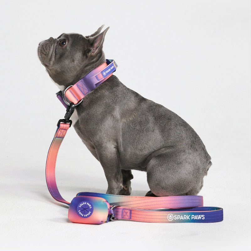 Ensemble de colliers tactiques pour chien - Kaléidoscope (1.5"/4cm)