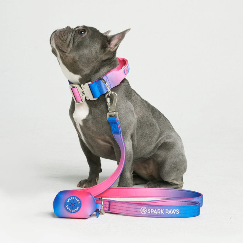 Ensemble de colliers tactiques pour chien - Cône de neige (1.5"/4cm)