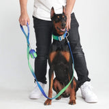 Ensemble de colliers tactiques pour chien - Vague de citron vert (1.5"/4cm)