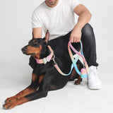 Ensemble de colliers tactiques pour chien - Glaçage pastel (1.5"/4cm)