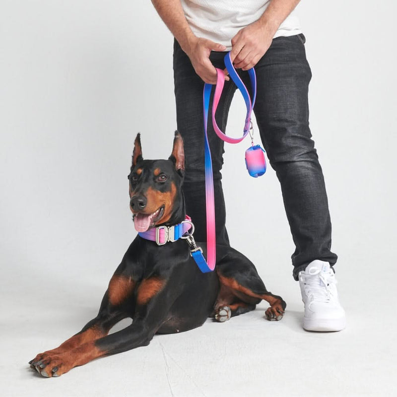 Collier tactique pour chien - Cône de neige (1.5"/4cm)