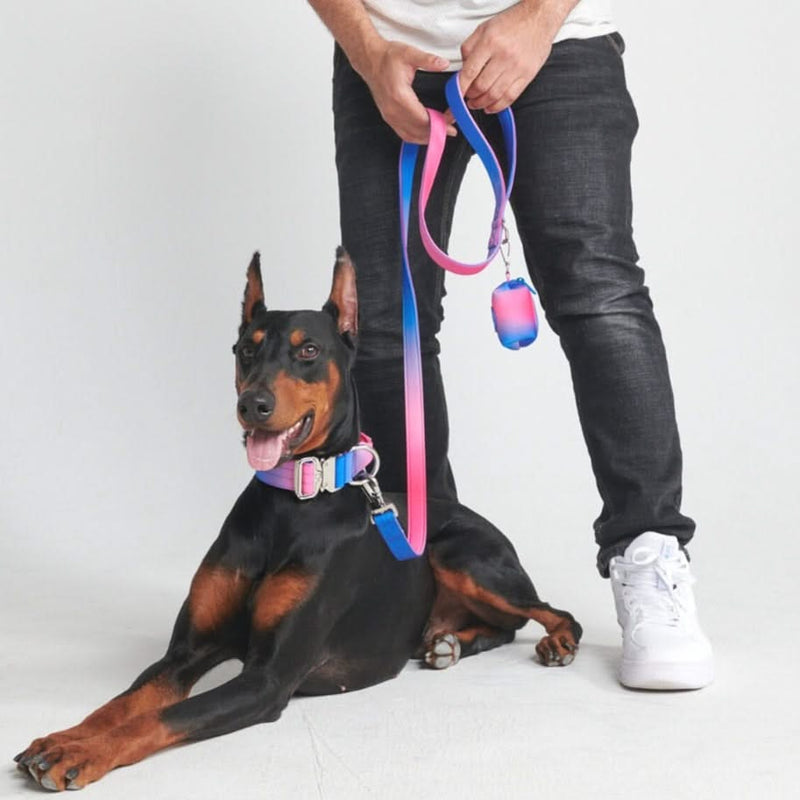 Ensemble de colliers tactiques pour chien - Multi-couleur (1.5"/4cm)