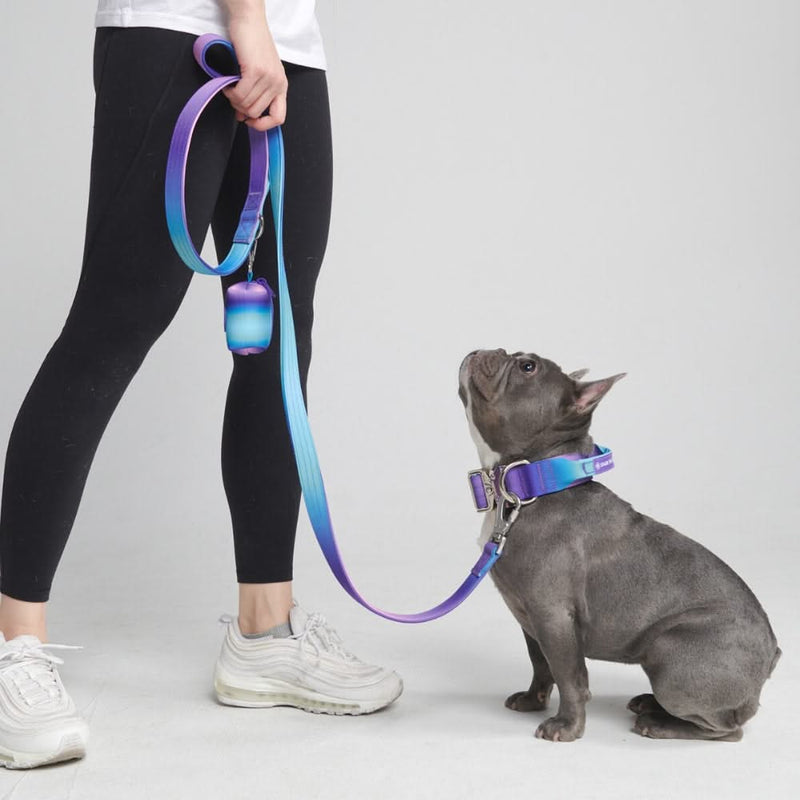 Ensemble de colliers tactiques pour chien - Rétro des années 90 (1.5"/4cm)