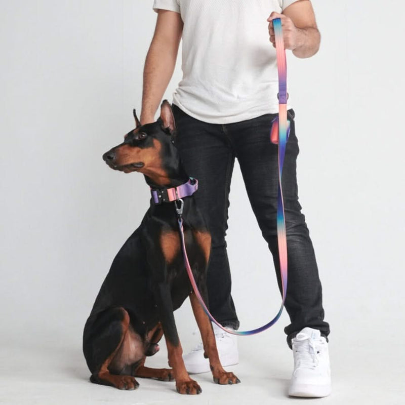 Ensemble de colliers tactiques pour chien - Kaléidoscope (1.5"/4cm)