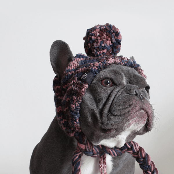 Chapeau d'hiver en tricot pour chiens