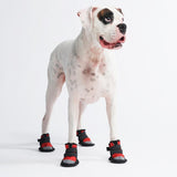 Chaussure pour chien réfléchissante et résistante à l'eau - Rouge