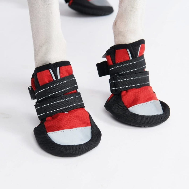 Chaussure pour chien réfléchissante et résistante à l'eau - Rouge