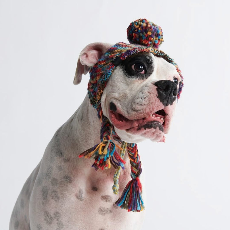 Chapeau d'hiver en tricot pour chiens