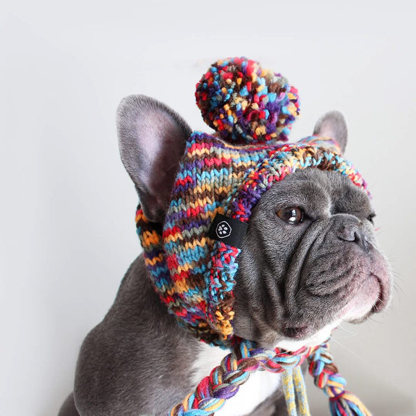 Chapeau d'hiver en tricot pour chiens