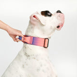 Collier tactique pour chien - Kaléidoscope (2"/5cm)